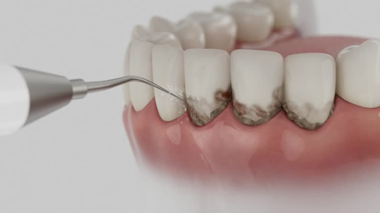 Reliable Dental contractor in Captains Cove, VA by Dentist Open Now